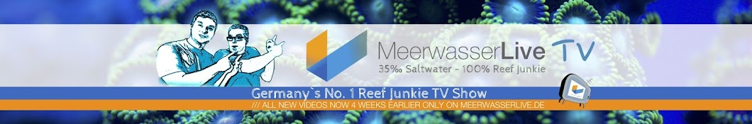 MeerwasserLive TV | 35â€° Saltwater - 100% Reef Junkie YouTube 频道头像