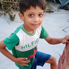 Hassan Ansari