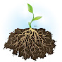 ROOTS logo