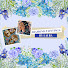 Gfu_wOZcQPo-channel-avatar-Diamond Paintings by Laura