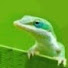 Oi457Z8xI34-channel-avatar-lizardqueenbauer