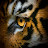 @Jason-Clark235's avatar