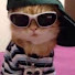 dsSp-UuYwm0-channel-avatar-disgustang
