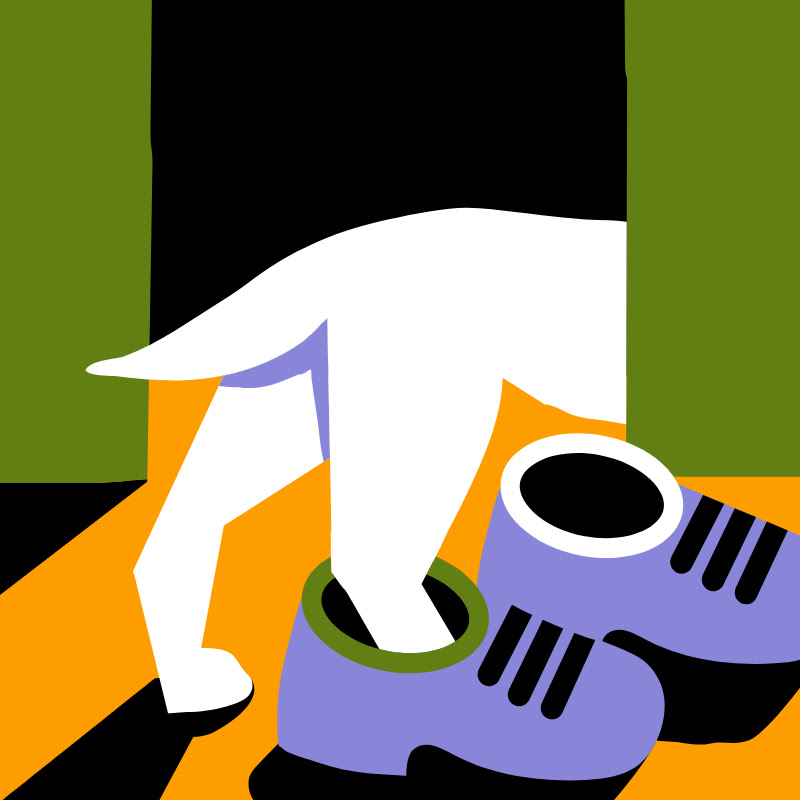 Furball Confidential Podcast