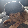 Автор