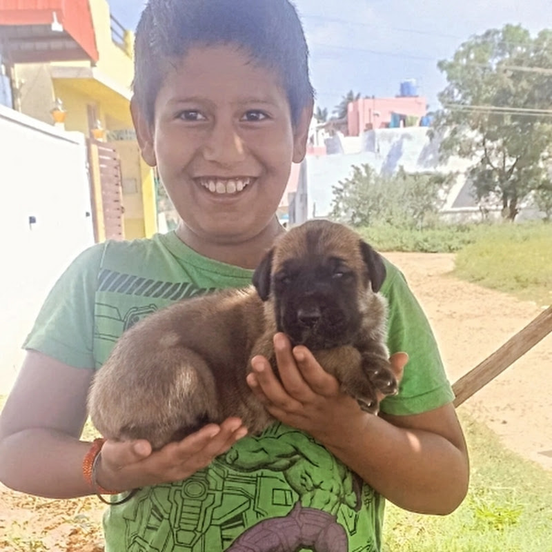 RK_kennel_திருப்பூர் 