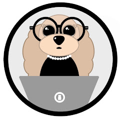 Noodlesthepooch net worth