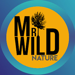 Mr Wild Nature net worth