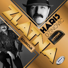 Haris Džinović - Topic