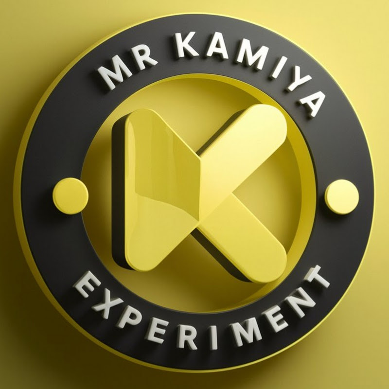 Mr Kamiya Experiment