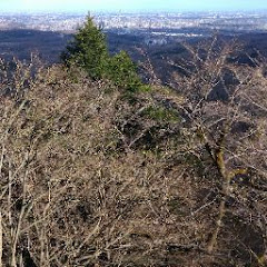 ルデゴスch  【R.D.ゴンス】