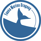 Fauna Marina Uruguay