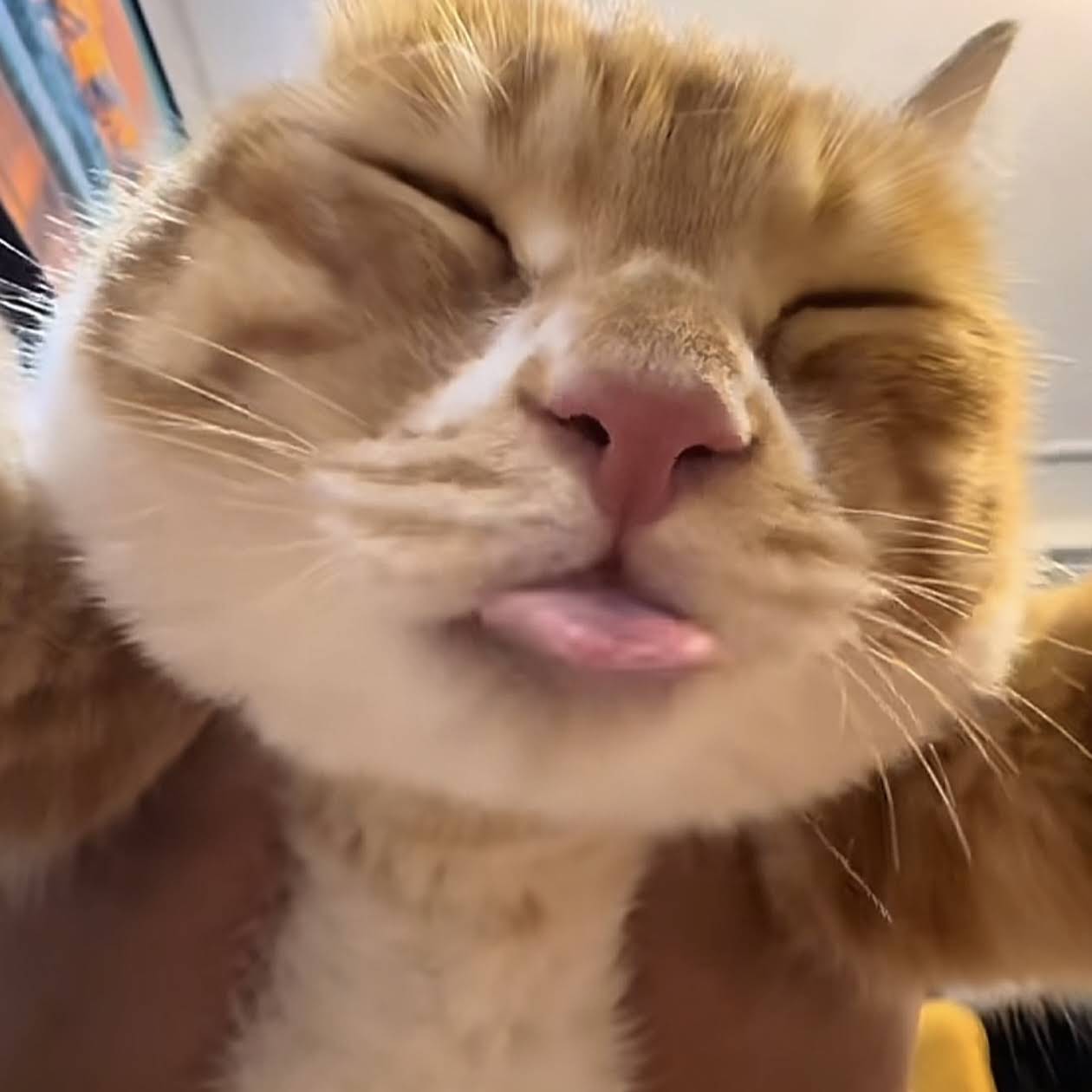 Post from Catherine Ren