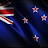 @bigman-NZ