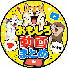 おもしろ動画まとめ