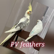 PV Feathers