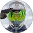 OA5QNpvLnmg-channel-avatar-Volted Adventures