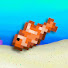 o2t5u6MXKLg-channel-avatar-SeaCill
