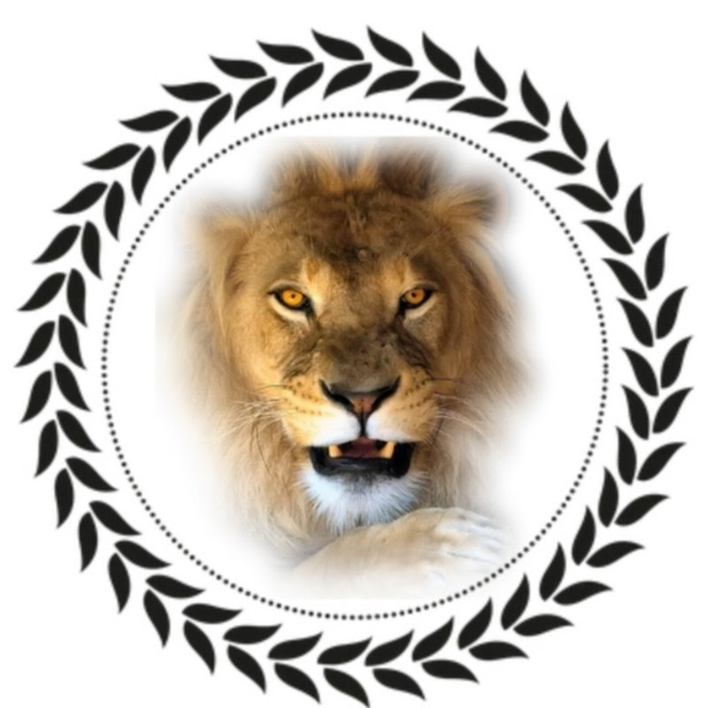 TheStarspirit123 icon