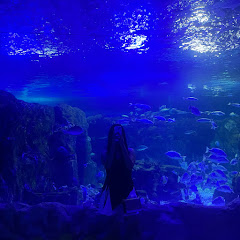 ♡꧁Sarayuwoki꧂♡ッ