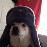 Автор