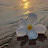 @BashkimeBajrami-c9m