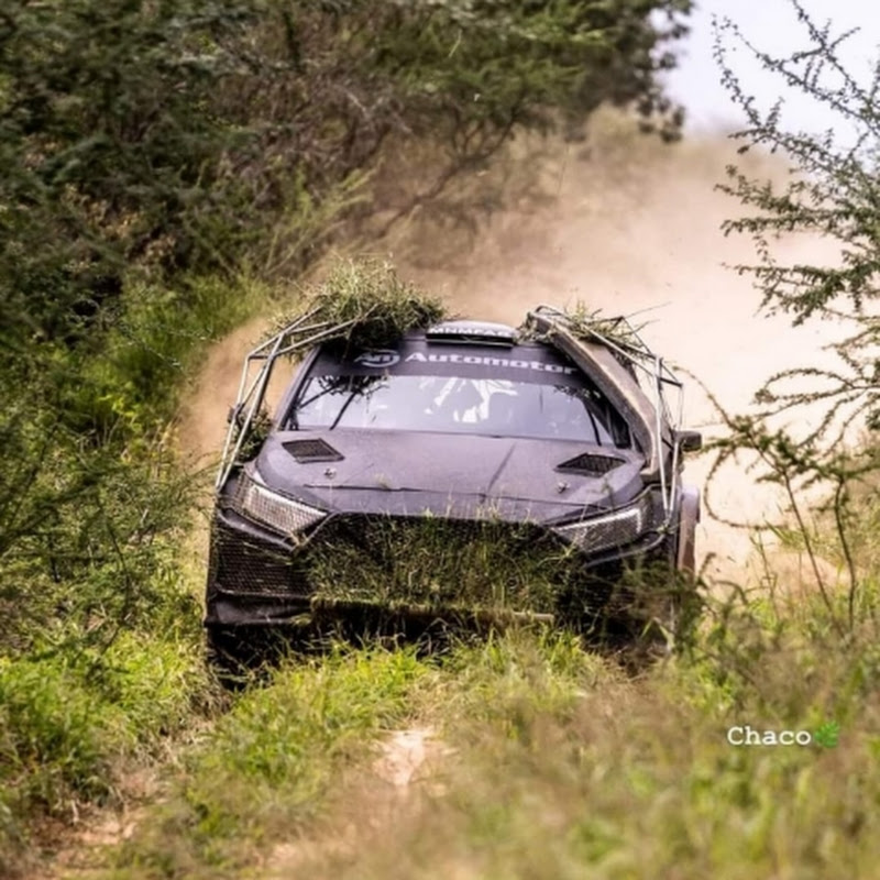Profe Rally Py
