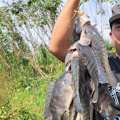 Fishing Life 2025