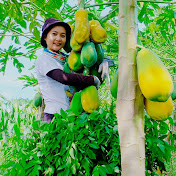 Farm To Market