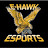 E-hawk Esports