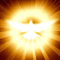 8jaOeRc2SUc-channel-avatar-La lumière du monde